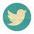 twitter-icon